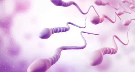 Low Sperm Count Treatment